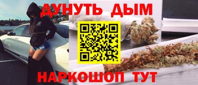 сатива Можга