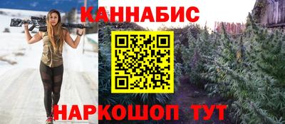 сатива Можга