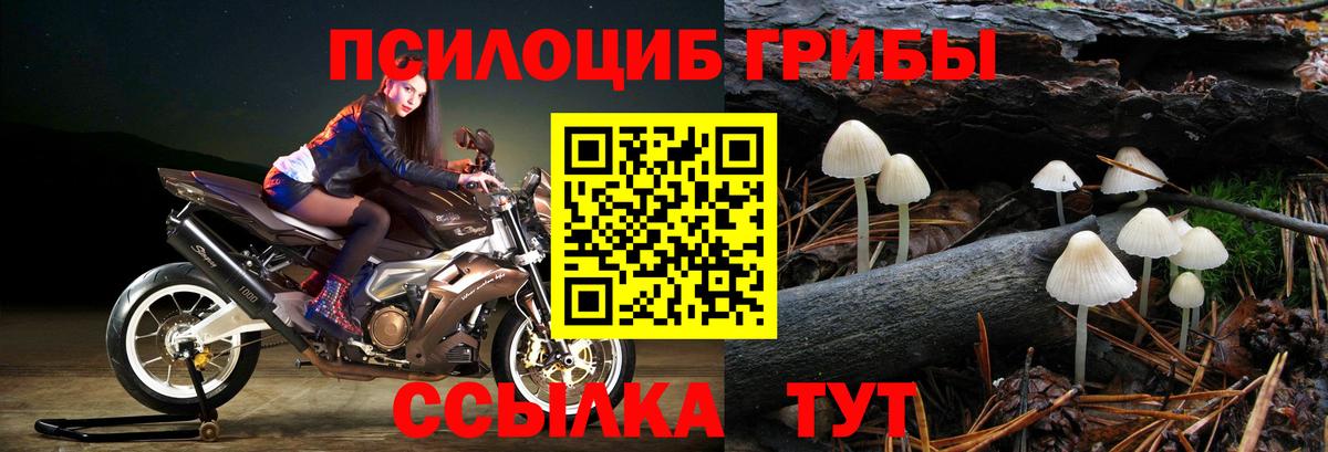 Галлюциногенные грибы Psilocybe  Вход с VPN  Ярославль 